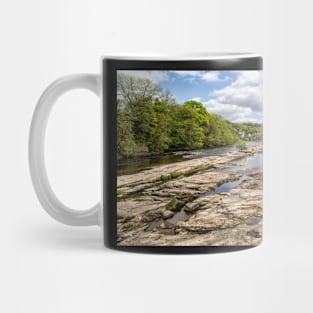 Limestone along the Dee Mug